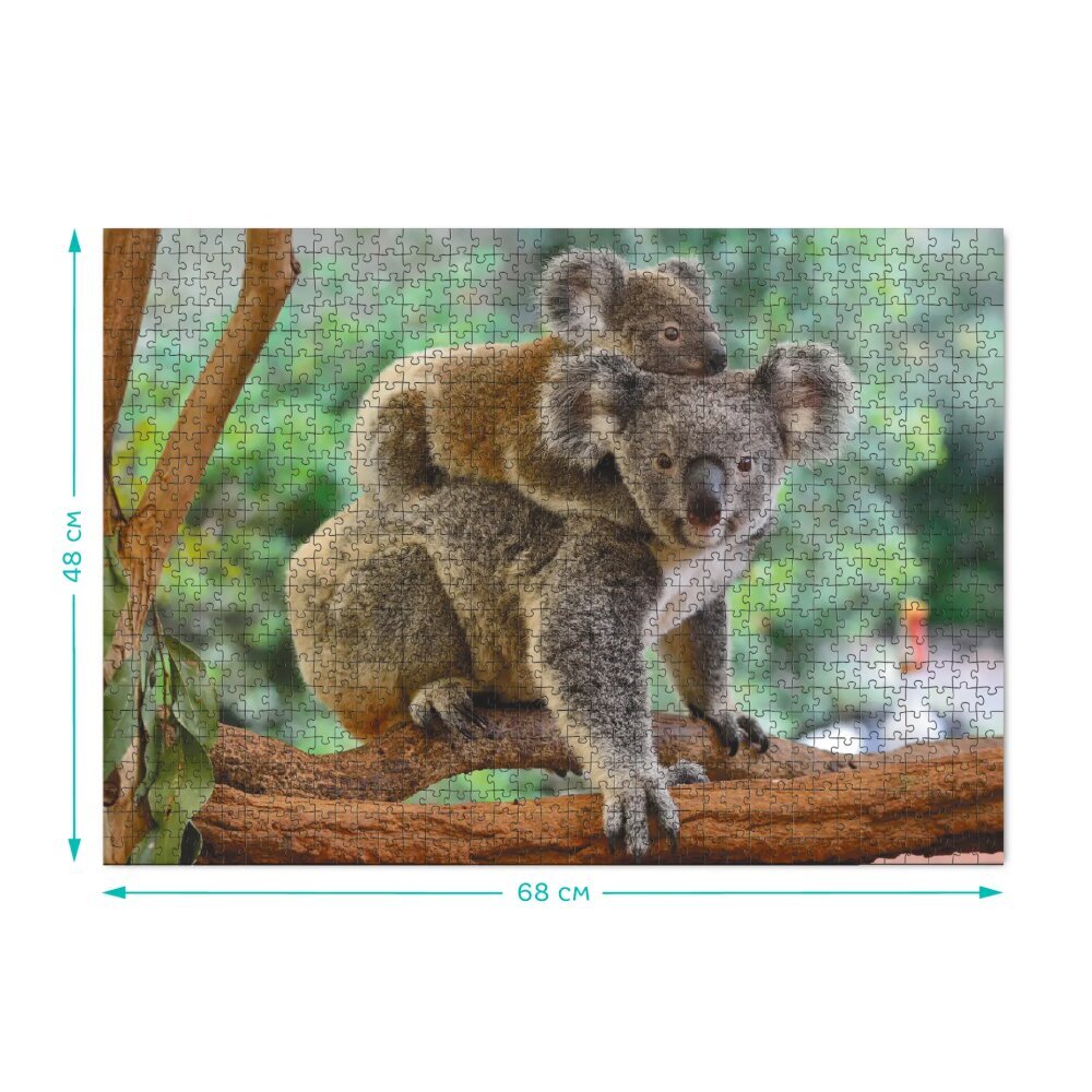 Dėlionė koalos Dodo, 1000 d. цена и информация | Dėlionės (puzzle) | pigu.lt