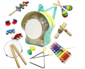 Intrumentų rinkinys vaikams Ecotoys 1024 kaina ir informacija | Lavinamieji žaislai | pigu.lt