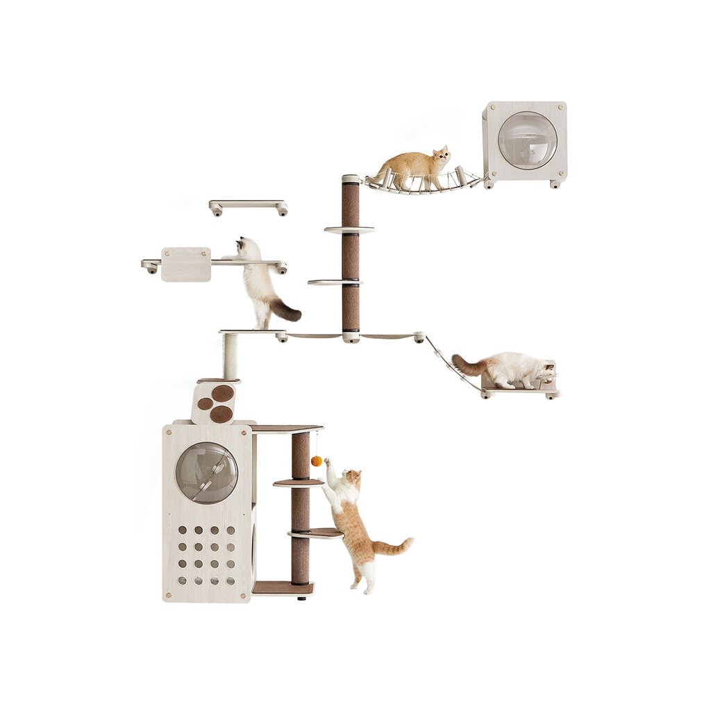 Kačių baldų komplektas Feandrea, 250 x 300 cm kaina ir informacija | Draskyklės | pigu.lt