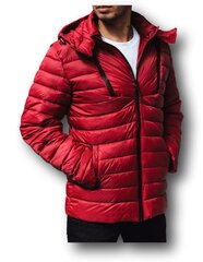Пуховик мужской Threadbare Garnock, вишнёвый цена и информация | Мужские куртки | pigu.lt