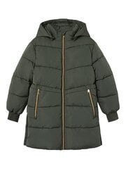 Name It детская куртка 200g 13219020*01, оливковый/beetle 5715419459299 цена и информация | Куртки, пальто для девочек | pigu.lt