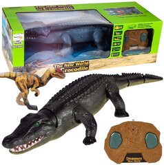Nuotoliniu būdu valdomas infraraudonųjų spindulių krokodilas MalPlay kaina ir informacija | Žaislai berniukams | pigu.lt
