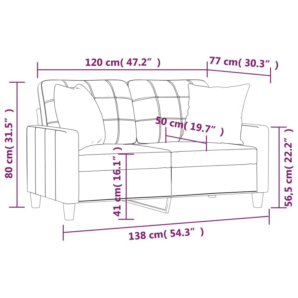 Dvivietė sofa vidaXL, pilka цена и информация | Sofos | pigu.lt