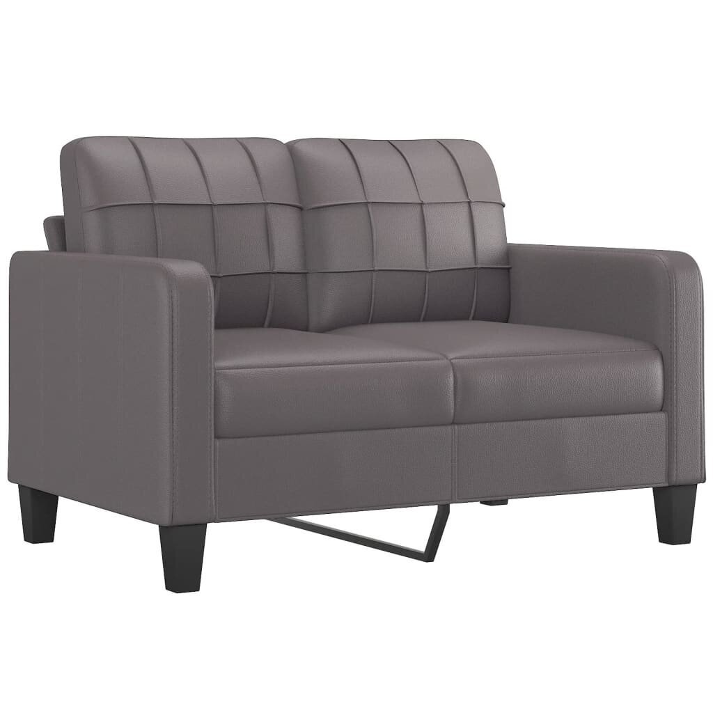 Dvivietė sofa vidaXL, pilka kaina ir informacija | Sofos | pigu.lt