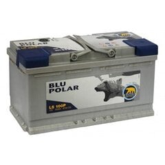 Akumuliatorius BAREN POLAR BLU 100AH 870A kaina ir informacija | Akumuliatoriai | pigu.lt