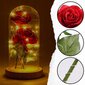 Rožė stiklinėje, raudona kaina ir informacija | Kitos originalios dovanos | pigu.lt