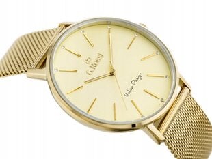 Женские, модные часы G. Rossi, цвет золота цена и информация | Женские часы | pigu.lt