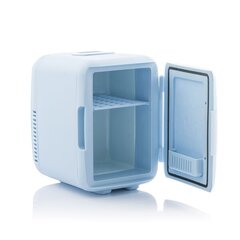 Mini šaldytuvas kosmetikai Frecos, 4 L kaina ir informacija | Kosmetinės, veidrodėliai | pigu.lt