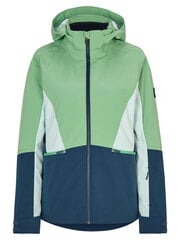 Горнолыжная женская куртка Ziener Taimi lady 234103-430-46, зеленая цена и информация | Женские куртки | pigu.lt