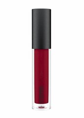 Lūpų blizgis Mac, Ruby Woo, 3.1 ml kaina ir informacija | Lūpų dažai, blizgiai, balzamai, vazelinai | pigu.lt