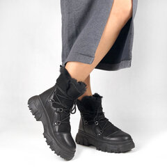 Женские осенние ботинки 421080208_41 цена и информация | Женские сапоги | pigu.lt