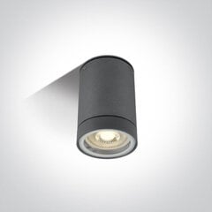 ONELight уличный потолочный светильник Cylinders 67130C/AN цена и информация | Потолочные светильники | pigu.lt