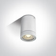 ONELight lauko lubinis šviestuvas Cylinders 67130C/W