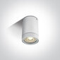 ONELight lauko lubinis šviestuvas Cylinders 67130C/W kaina ir informacija | Lubiniai šviestuvai | pigu.lt