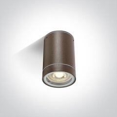 ONELight lauko lubinis šviestuvas Cylinders 67130C/BR kaina ir informacija | Lubiniai šviestuvai | pigu.lt