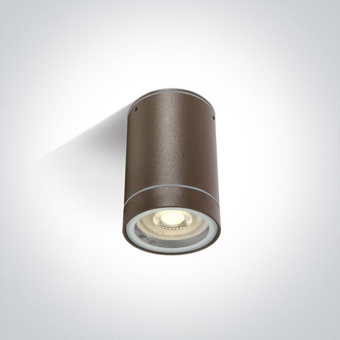 ONELight lauko lubinis šviestuvas Cylinders 67130C/BR цена и информация | Lubiniai šviestuvai | pigu.lt