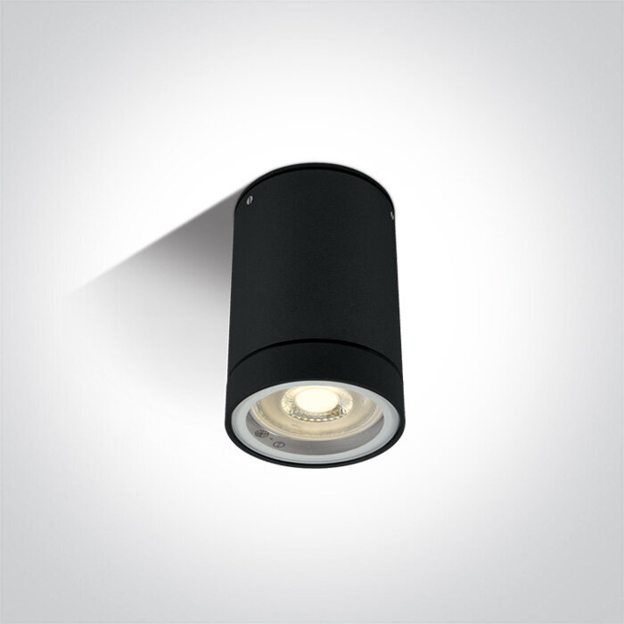 ONELight lauko lubinis šviestuvas Cylinders 67130C/B kaina ir informacija | Lubiniai šviestuvai | pigu.lt