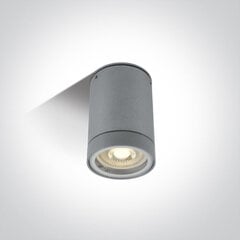 ONELight уличный потолочный светильник Cylinders 67130C/G цена и информация | Потолочные светильники | pigu.lt
