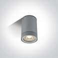 ONELight lauko lubinis šviestuvas Cylinders 67130C/G