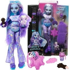 Lėlė su priedais Monster High Abbey Bominable, 30 cm kaina ir informacija | Žaislai mergaitėms | pigu.lt