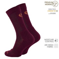 Походные носки унисекс Stark Soul 2153, красные цена и информация | Мужские носки | pigu.lt