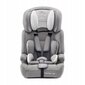 Automobilinė kėdutė Kinderkraft Comfort Up 9-36 kg 2in1, grey kaina ir informacija | Autokėdutės | pigu.lt