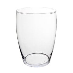 Stiklinė, 19 cm kaina ir informacija | Taurės, puodeliai, ąsočiai | pigu.lt