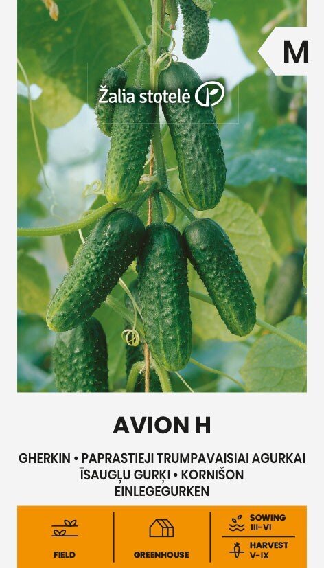 Paprastieji trumpavaisiai agurkai Avion H Žalia stotelė цена и информация | Daržovių, uogų sėklos | pigu.lt
