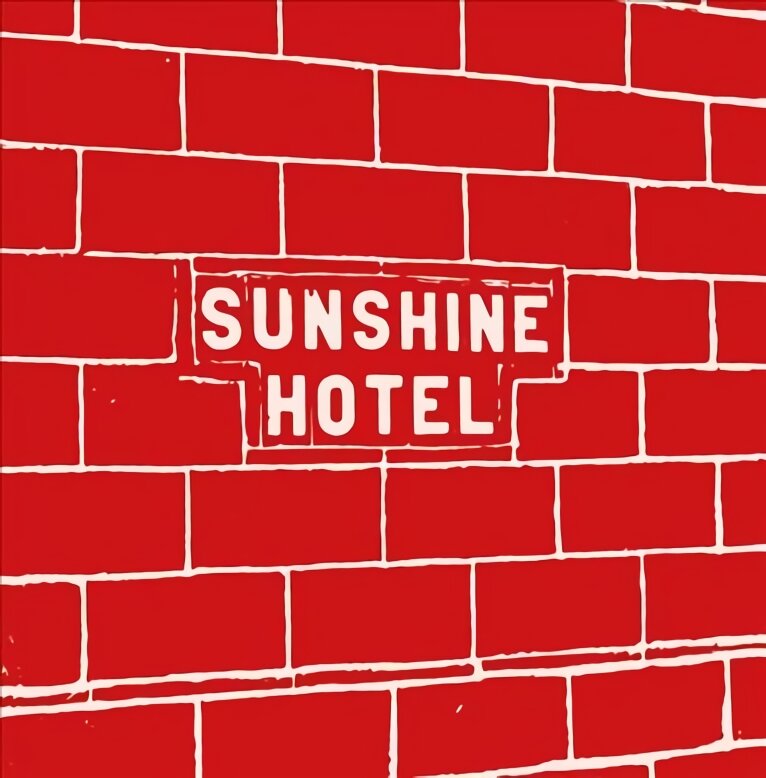 Mitch Epstein: Sunshine Hotel kaina ir informacija | Fotografijos knygos | pigu.lt