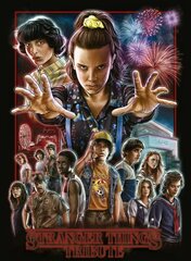 Stranger Things: Tribute kaina ir informacija | Apsakymai, novelės | pigu.lt