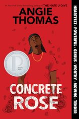 Concrete Rose цена и информация | Книги для подростков  | pigu.lt