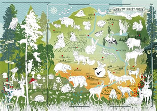 Gyvūnų žemėlapio dažymas, lenkų kalba kaina ir informacija | Piešimo, tapybos, lipdymo reikmenys | pigu.lt