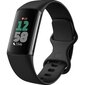 Fitbit Charge 6 Obsidian/Black цена и информация | Išmaniosios apyrankės (fitness tracker) | pigu.lt