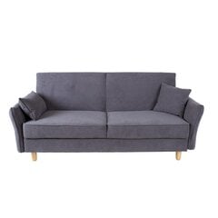 Sofa Rosanna, pilka kaina ir informacija | Sofos | pigu.lt