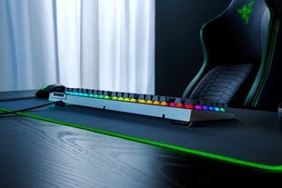 Razer BlackWidow V4 X, Green Switch, RU Клавиатура цена и информация | Клавиатуры | pigu.lt