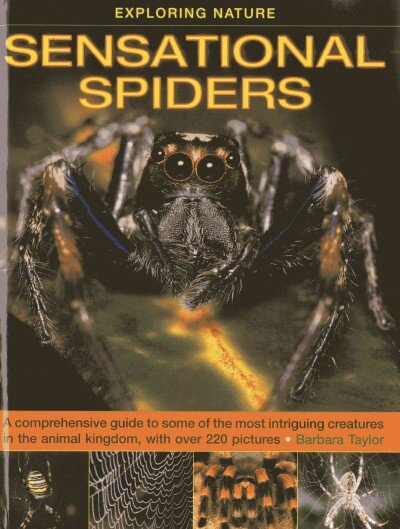 Exploring Nature: Sensational Spiders: A Comprehensive Guide to Some of the Most Intriguing Creatures in the Animal Kingdom, with Over 220 Pictures цена и информация | Knygos paaugliams ir jaunimui | pigu.lt