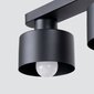 Sollux lubinis šviestuvas Savar 2 kaina ir informacija | Lubiniai šviestuvai | pigu.lt