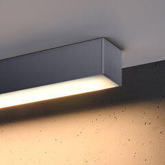 Sollux потолочный светильник Pinne 200 цена и информация | Потолочные светильники | pigu.lt