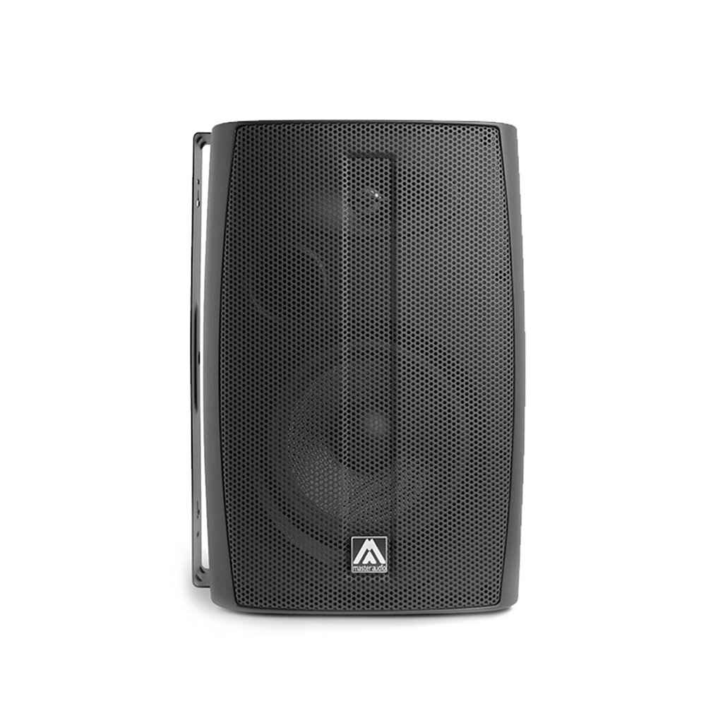 Master Audio B-8 цена и информация | Garso kolonėlės | pigu.lt
