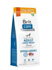 Brit Care Hypoallergenic Adult Lamb&Rice suaugusiems šunims su ėriena ir ryžiais, 12+2kg kaina ir informacija | Brit Care Gyvūnų prekės | pigu.lt