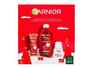 Dovanų rinkinys Garnier Body & Hand kaina ir informacija | Kūno kremai, losjonai | pigu.lt