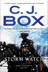 Storm Watch kaina ir informacija | Fantastinės, mistinės knygos | pigu.lt