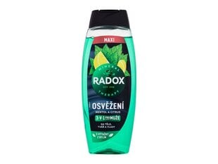 Dušo želė Radox Refreshment Menthol And Citrus vyrams, 450 ml kaina ir informacija | Dušo želė, aliejai | pigu.lt