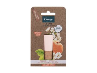 Lūpų balzamas Kneipp Lip Care Apricot & Marula, 4,7 g kaina ir informacija | Lūpų dažai, blizgiai, balzamai, vazelinai | pigu.lt