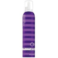 Plaukų putos šalinančios nepageidaujamą gelsvą plaukų atspalvį Elgon Colorcare Pure Silver Mousse pH 5.5, 200 ml цена и информация | Средства для укладки волос | pigu.lt