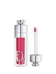 Lūpų blizgis Christian Dior Addict Lip Maximizer, 029 Intense Grape, 6 ml kaina ir informacija | Lūpų dažai, blizgiai, balzamai, vazelinai | pigu.lt