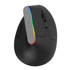 Wireless Vertical Mouse Delux M618C 2.4G 1600DPI RGB (black) цена и информация | Мыши | pigu.lt