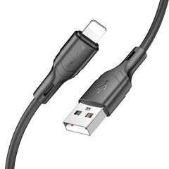 Borofone, USB, Lightning kaina ir informacija | Laidai telefonams | pigu.lt