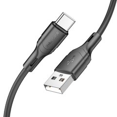 Borofone, USB, Type C kaina ir informacija | Laidai telefonams | pigu.lt