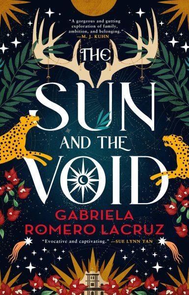 Sun and the Void цена и информация | Fantastinės, mistinės knygos | pigu.lt